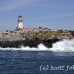 lighthouse_island_seal_machias_h_2224_can1342.jpg